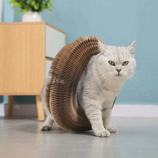 PetLifePros - AccordionScratch