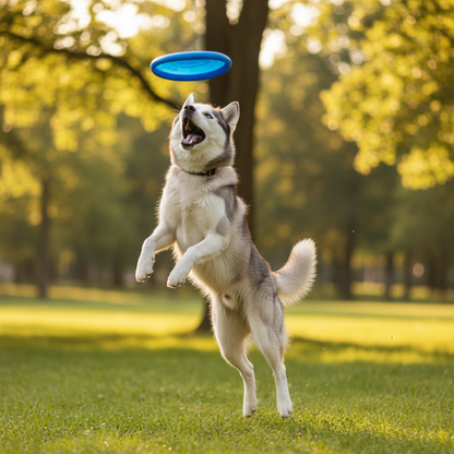 PetLifePros - FlySaucer