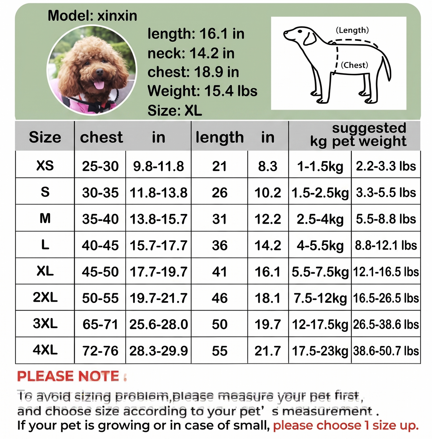 PetLifePros - RainRover