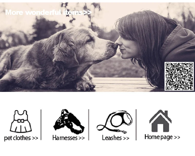 PetLifePros - RainRover