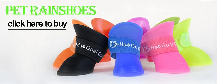 PetLifePros - RainRover