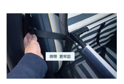 PetLifePros - RideNest