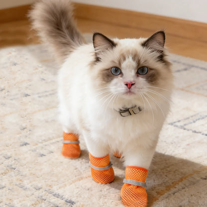 PetLifePros - PawSteps