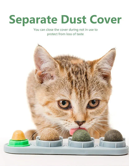 PetLifePros - NipSpin