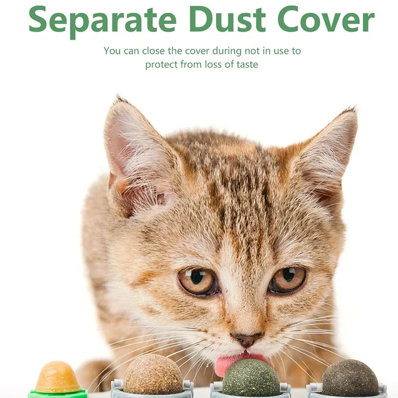 PetLifePros - NipSpin