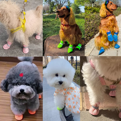 PetLifePros - PawSteps