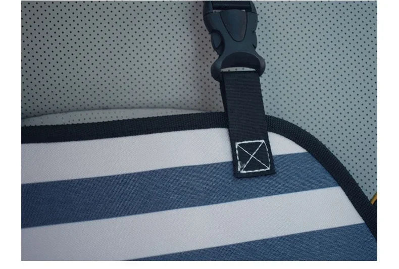 PetLifePros - RideNest