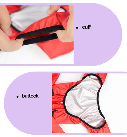 PetLifePros - RainRover