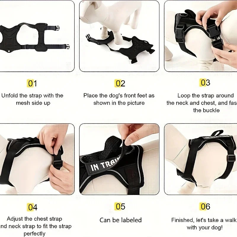 PetLifePros - TacticalK9