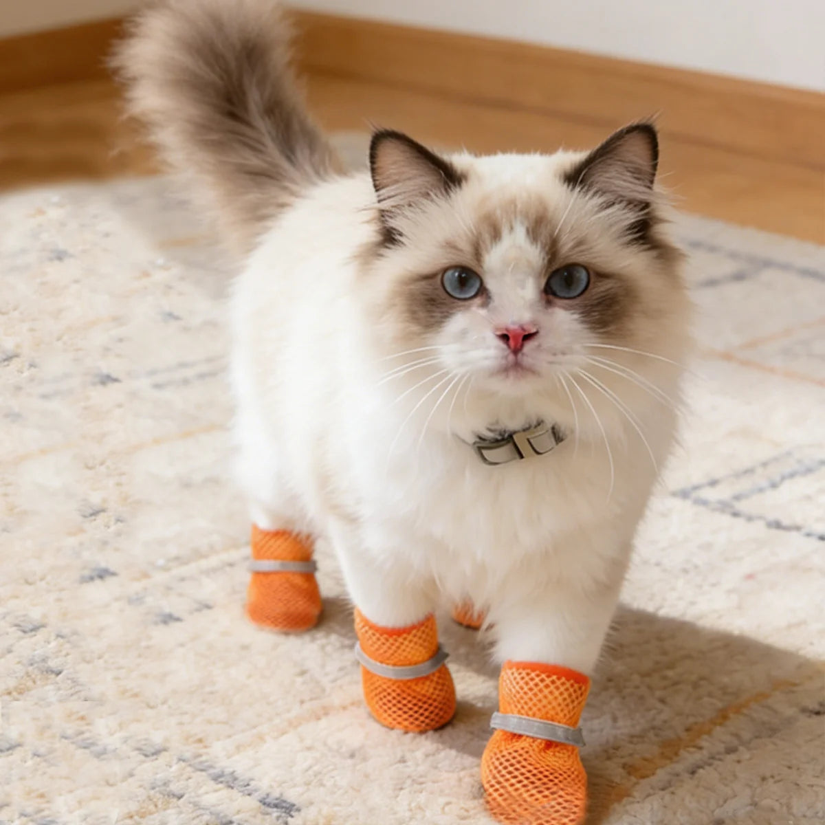 PetLifePros - PawSteps